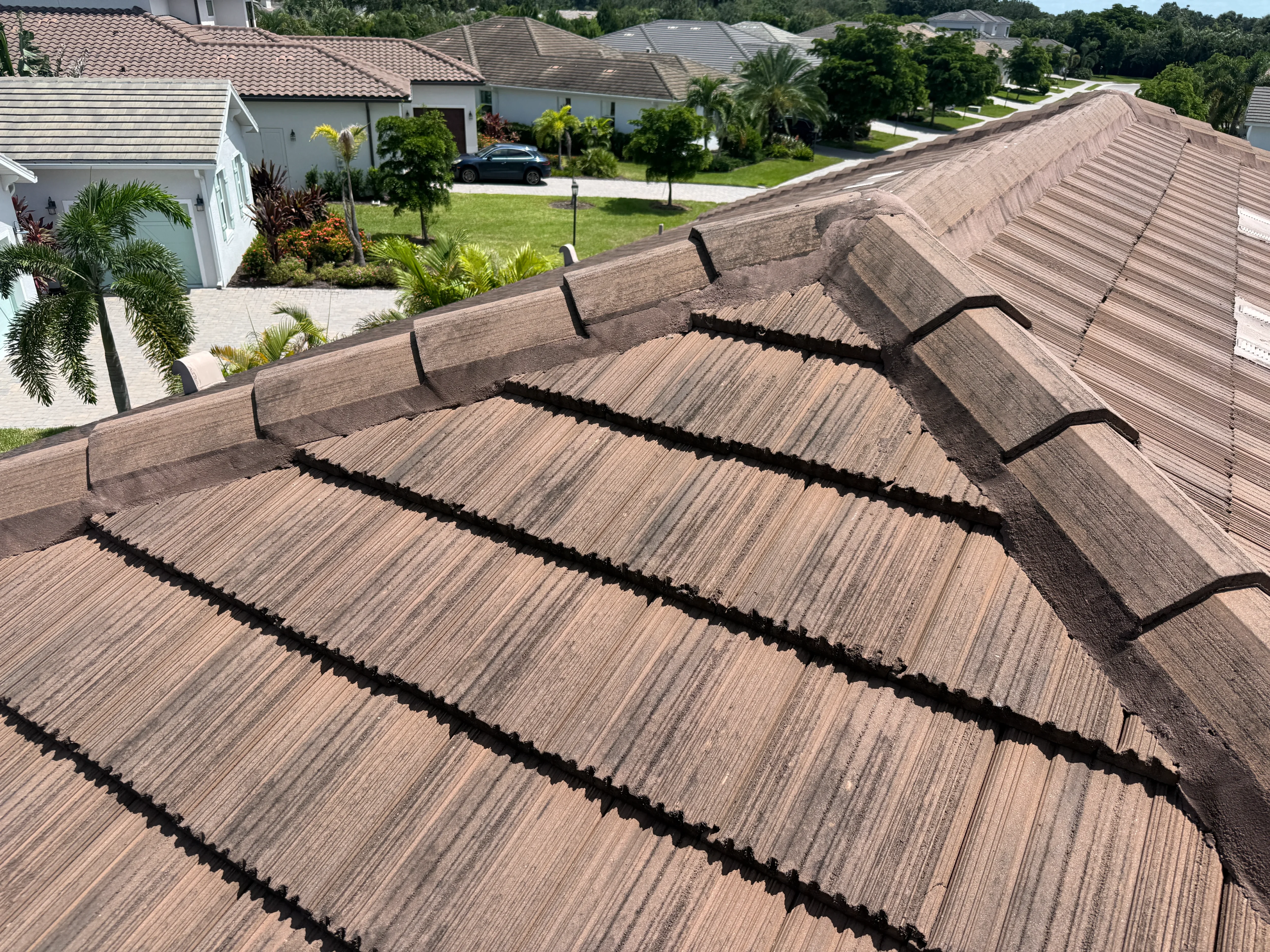 Roof Maintenance